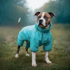 Дощовик для собак WAUDOG Clothes розмір S35 блакитний, водонепроникний комбінезон із блискавкою на спині, довжина 32–35 см / шия 35–39 см / груди 47–51 см, арт. 19852