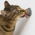 Льодяник-цукерка з котячою м'ятою на липучці для котів. Іграшка-ласощі 2 в 1