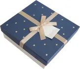 Подарункова коробка Angel Gifts 21x21x10 см (Я77436_AG2508-1)