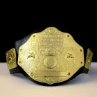 Пояс чемпіона WWE World Heavyweight Wrestling