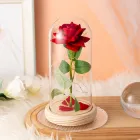 Троянда в скляній колбі з підсвічуванням Love Stories Roses, 20 см, червона, нічник
