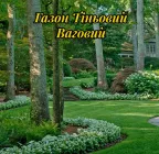 Трава газонна Тіньова 1 кг