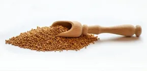 Гірчиця зерно 200г