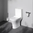 Унітаз-компакт FlashClean з сидінням мікроліфт AM.PM Flash CNA8600SC
