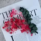 Червоні сухі квіти для декору