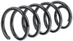 Пружина підвіски KYB (Kayaba) (KYB RA1238)