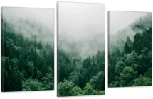 Модульна картина Туманний ліс (53x100см) Art-603_3