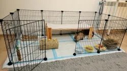 Модульна клітка, вольєр для вигулу дрібних тварин