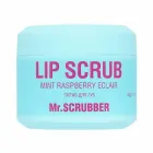 Скраб для губ MR.SCRUBBER Lip Scrub Mint Raspberry eclair із ароматом м’ятно-малинового еклера 35 г (4823109704251)