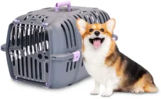 Переноска для міні-собак і кішок Ferplast Jet 10 47 x 32 x 29 см до 5 кг Фіолетова (73043099-Pink)