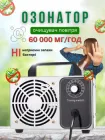 Озонатор очисник повітря 60 000мг/год. іонізатор для приміщень професійний генератор озону ATWFS 150 Вт в корпусі