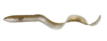 Силікон Вугор Savage Gear 3D Real Eel Loose Body 150мм 12г #22 Olive Sparkle Pearl