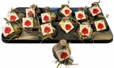 Амариліс (Гіпеаструм) червоний махровий — цибулина