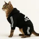 Спортивний костюм для котів (кішок) Adidog S Чорний