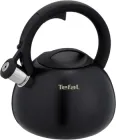 Чайник зі свистком Tefal Duetto + 2.5 л (N4180410)