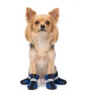 Взуття для собак Bingo камуфляж з флісом 6.5х9х14.5 см Хакі (м648)