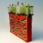 Мурашина ферма PеnaFarm (7238)