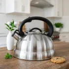 Чайник 3 л з нержавіючої сталі зі свистком та нейлоновою ручкою для індукції та газу Maestro MR-1313