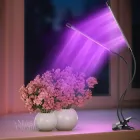 Фітолампа для рослин світлодіодна LED на 2 гілки 10Вт, подвійна настільна лампа для росту та цвітіння кімнатних і тепличних рослин з прищіпкою-затискачем, таймером і живленням від USB, червоне та синє світло Чорна TF-770
