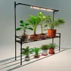 Підставка для квітів на вікно з фітолампою повного спектру Lucia Lux для рослин, квітів, розсади