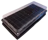 Парничок для розсади ВЛ, 50 яч, кас. 440х205х80 мм, яч. 32х32х53 мм, т. з. 0,9 мм, пластиковий