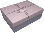 Подарункова коробка Angel Gifts 24.5x17x6.5 см (Я77574_AG2556-3)