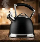 Чайник для плити ARDESTO Black Mars AR0747KS об'ємом 2.5 л чайник кухонний з свистком із нержавіючої сталі для всіх видів плит із ручкою з силіконовою вставкою Чорний