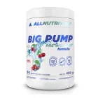 Передтренувальний комплекс Allnutrition Big Pump Pre Workout Formula 420 g (1086-2022-09-0458)