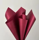 Плівка матова "Моно" 60 мкр, 58 х 58см - 20 листів (j00334 -10/ j00649-013)