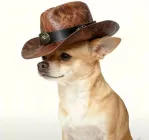 Капелюх ковбойський для собак і кішок "BULLY" Коричневий Size S