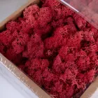 Мох стабілізований extra premium 500 гр (1 сорт) ЧЕРВОНИЙ