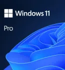 Операційна система Microsoft Windows 11 Professional (64-bit Ukrainian FPP на USB носії)