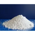 Діоксид титану Tricolor R535 1 кг.