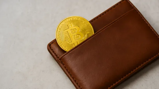 Як вибрати криптовалютний гаманець для початківця
